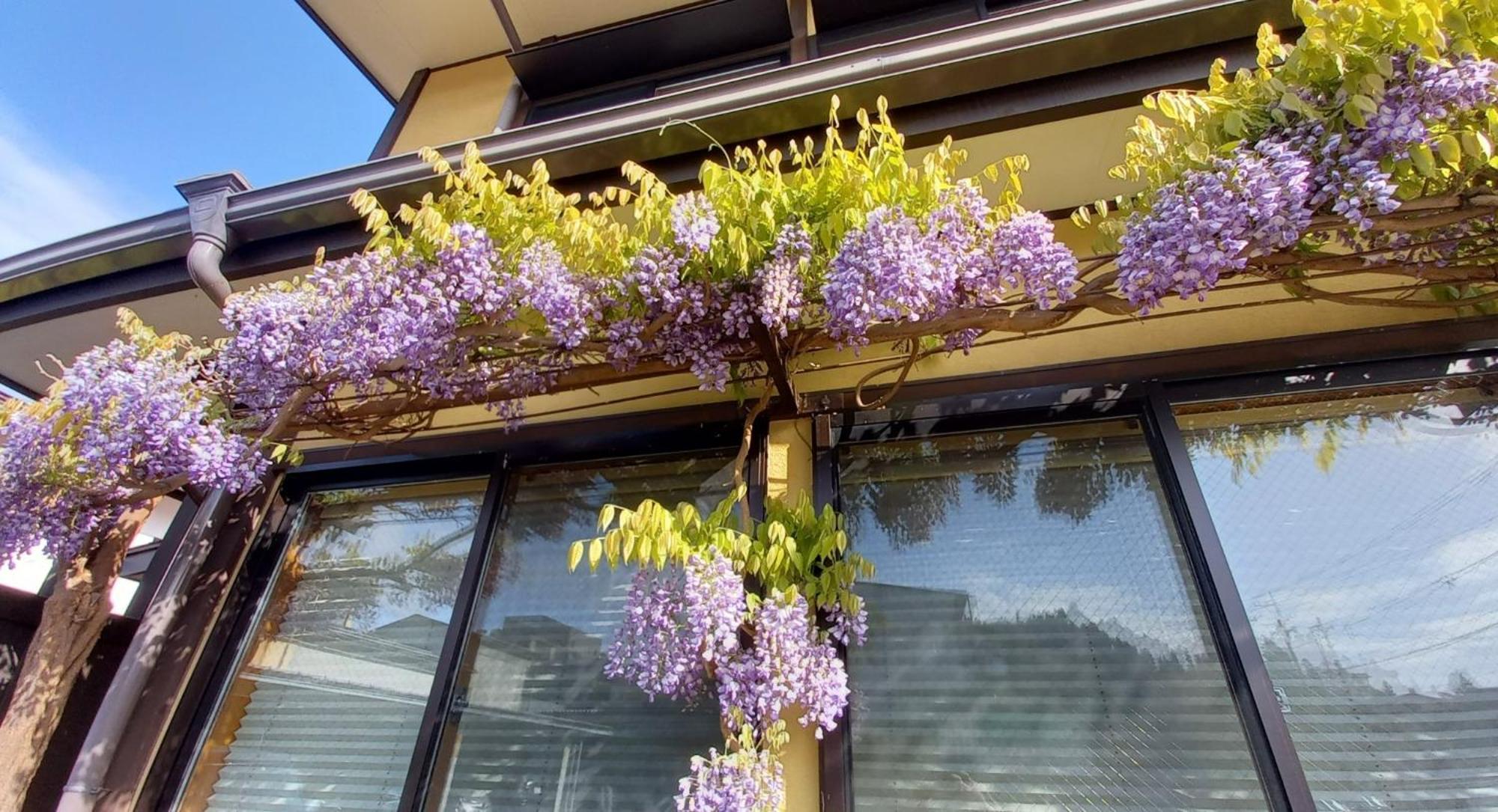 Maple Haus Hida Takayama - Vacation Stay 07682V מראה חיצוני תמונה